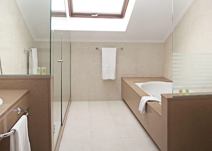 ホテル Sercotel Tres Luces 3*