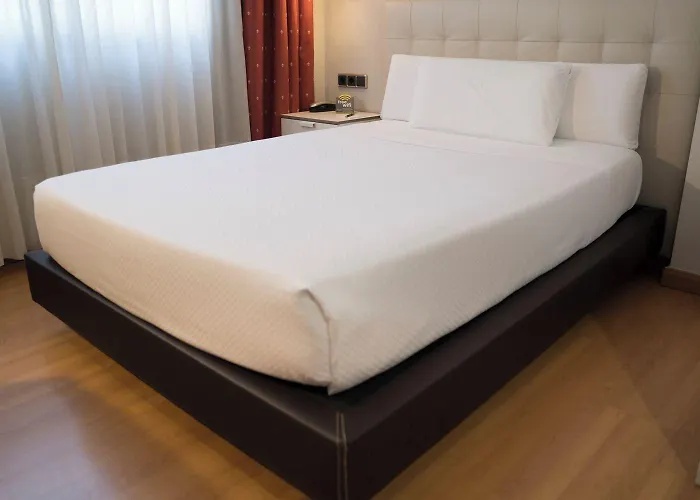 ホテル Sercotel Tres Luces 3*